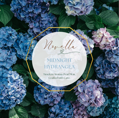 MIDNIGHT HYDRANGEA (100g)