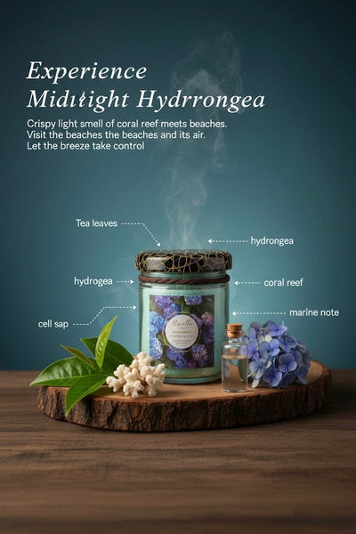 MIDNIGHT HYDRANGEA (100g)